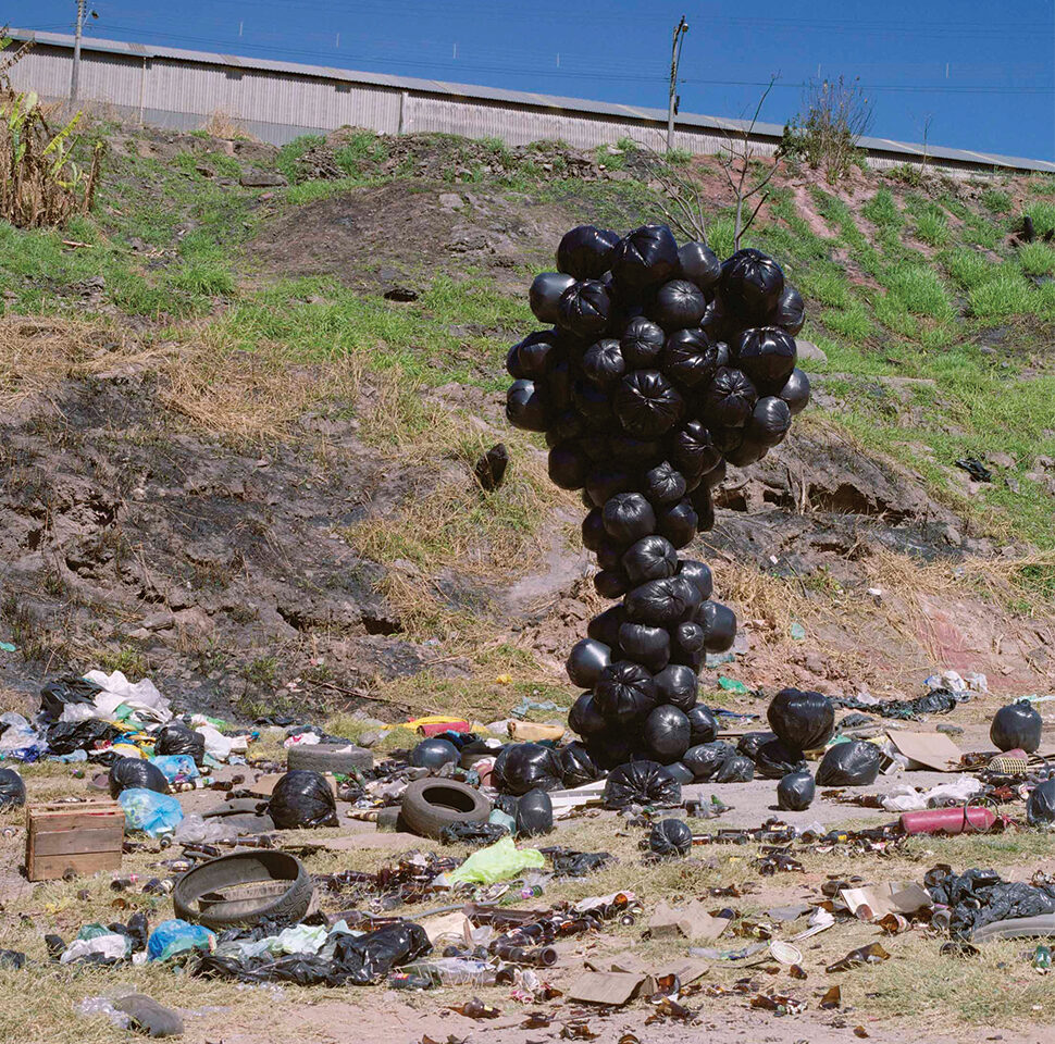 Impacto Ambiental, 2013