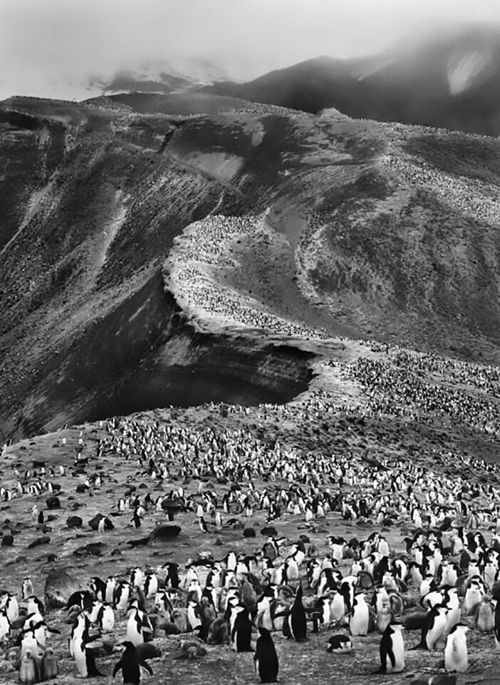 Ilha da Decepção, Antártica, 2005