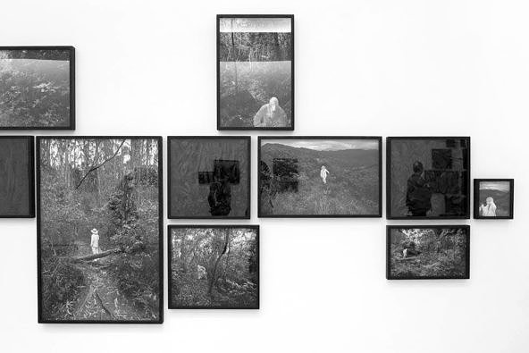 Exhibition — Sobre natureza