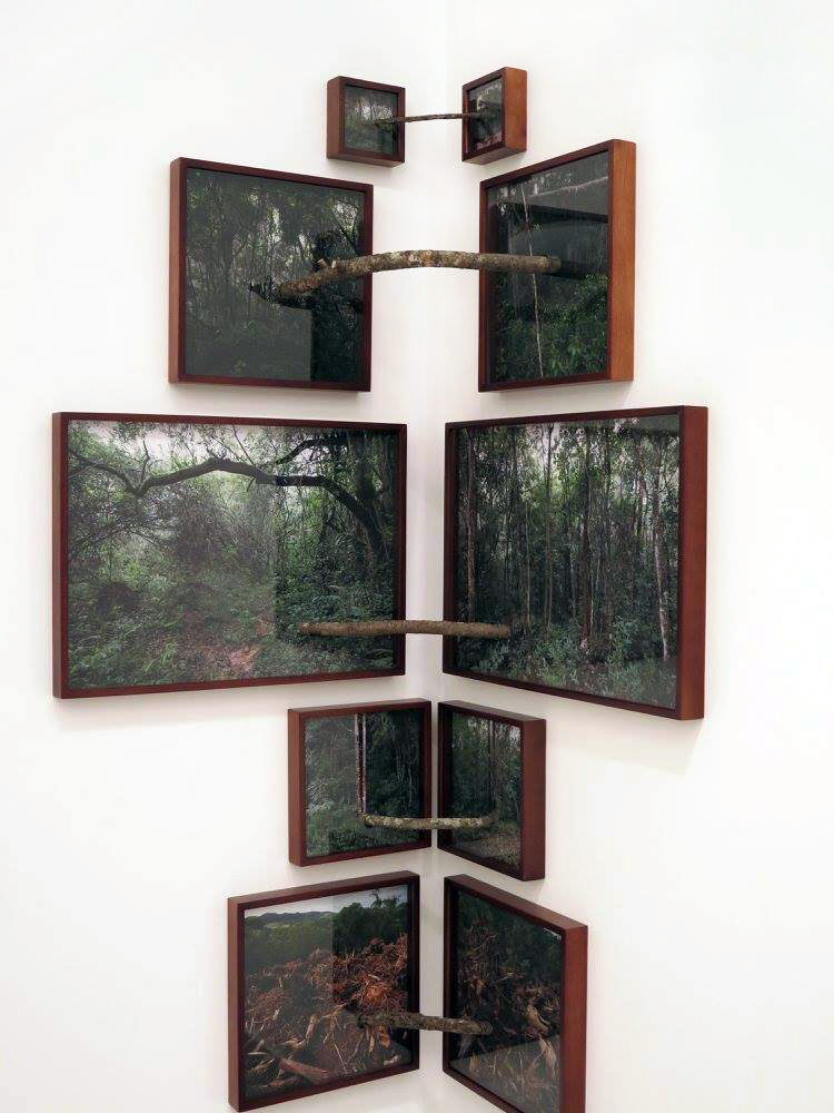 Sobre natureza - Pedro Motta, 2016