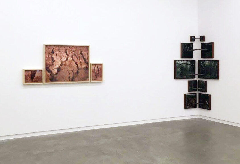 Sobre natureza - Pedro Motta, 2016