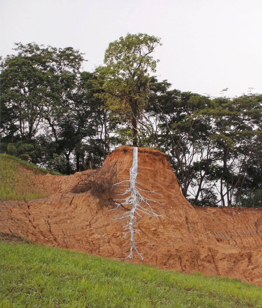 A natureza das coisas, 2013