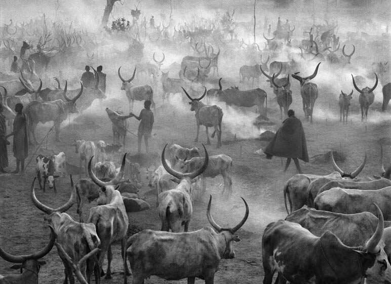 Tribo Dinka - Sul do Sudão, 2006