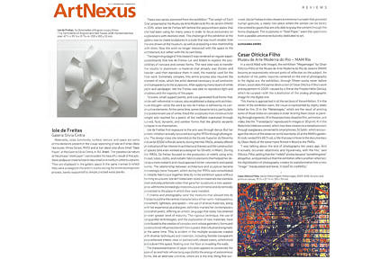 Notícias — Iole de Freitas na Artnexus
