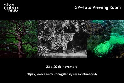 Fair — SP Foto Viewing Room 2020