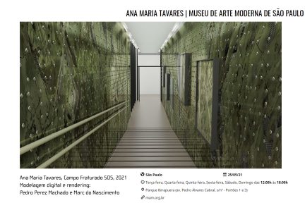 Notícias — Ana Maria Tavares no Museu de Arte Moderna de São Paulo