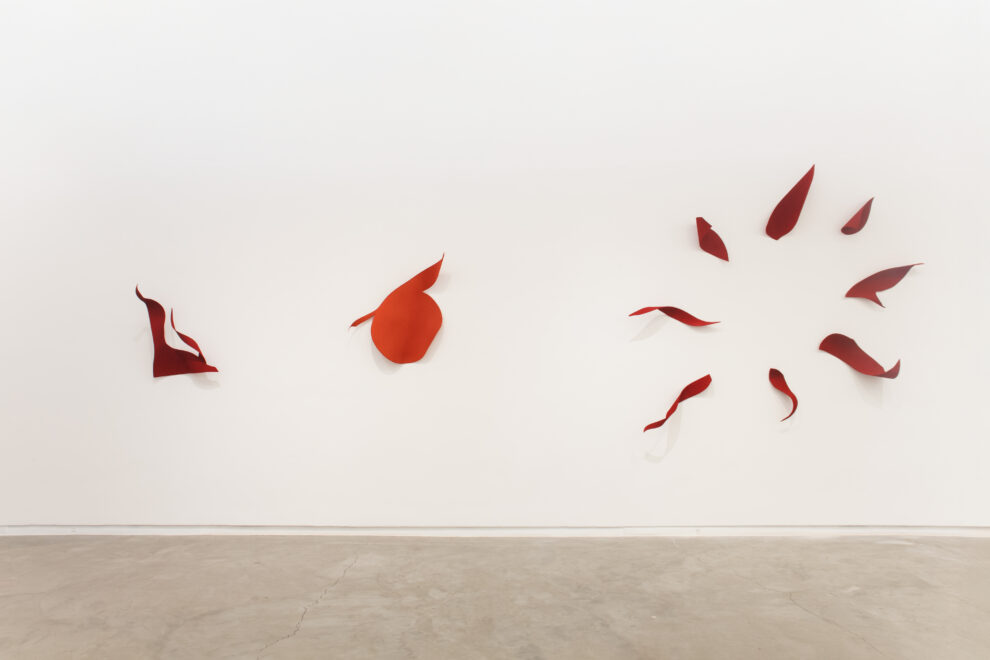 Exhibition view - Iole de Freitas 1, 2025