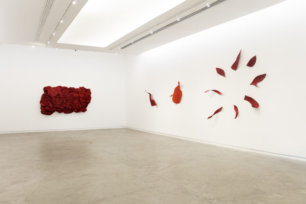 Exhibition view - Iole de Freitas 3, 2025