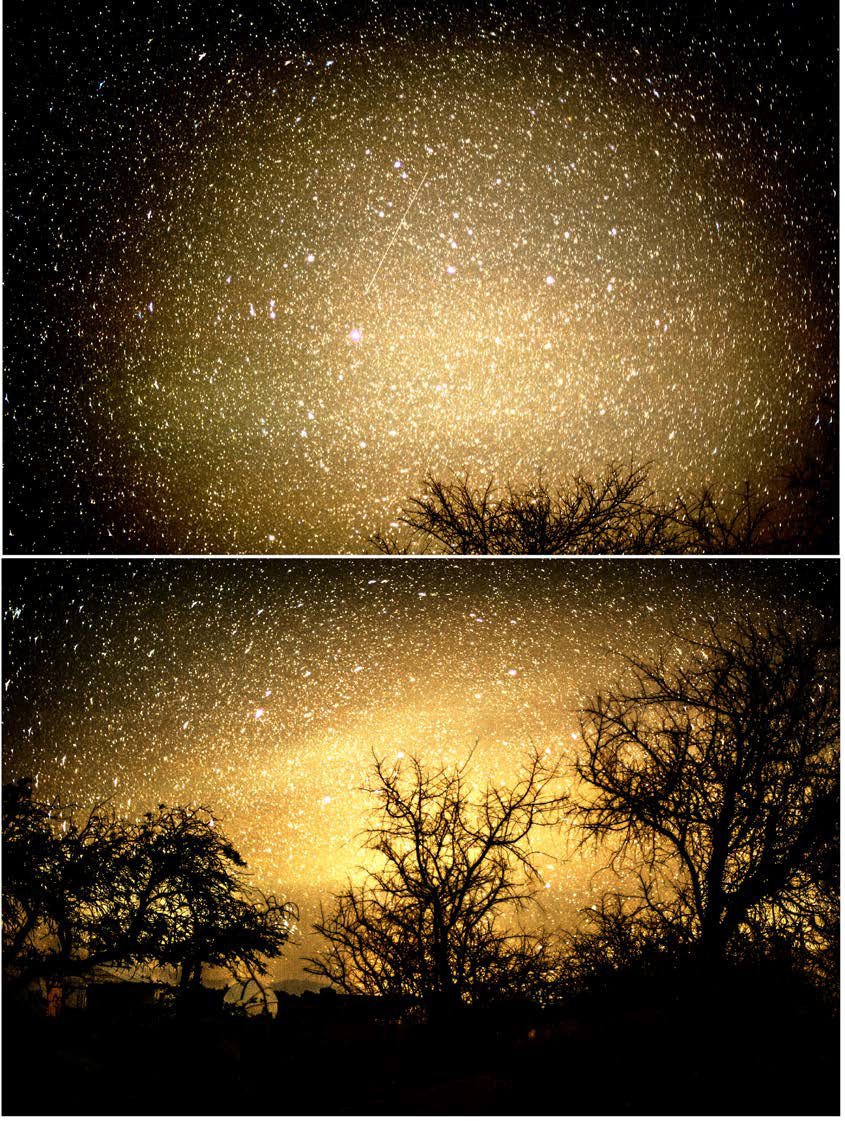 Starry nights yellow, 2016